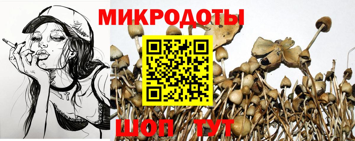 продажа наркотиков  Галлюциногенные грибы Magic Shrooms  Вход с VPN  Лобня 
